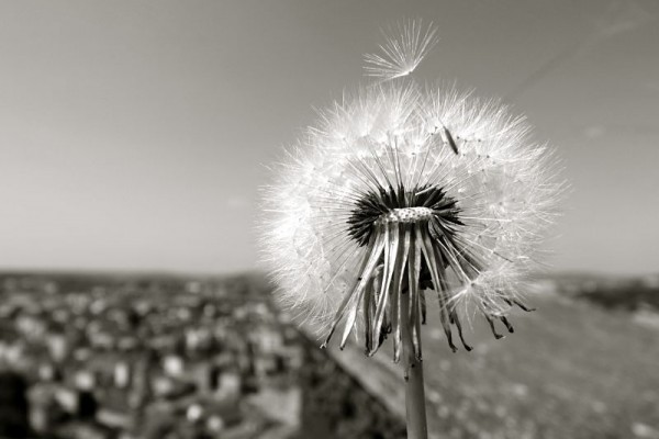 Et les derniers mots s'épuisent_Instants de vie_Julien Chevallier