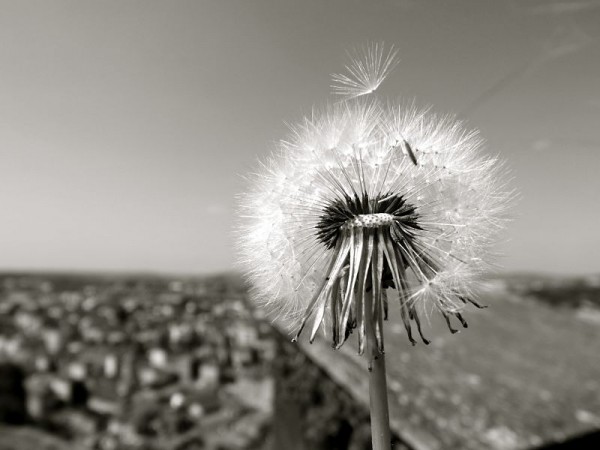 Et les derniers mots s'épuisent_Instants de vie_Julien Chevallier